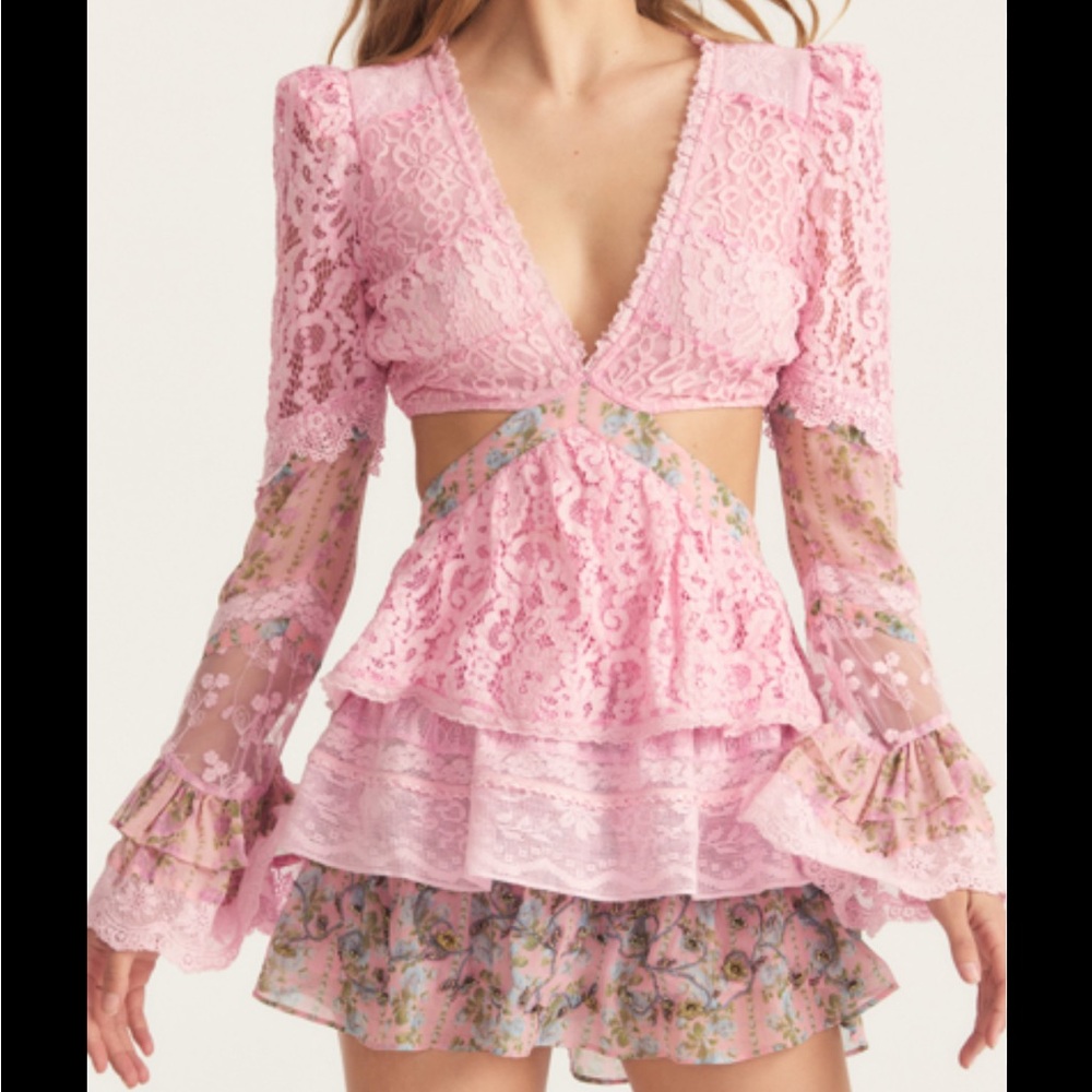 Loveshake Fancy pink, open back mini lace embroidered dress - Picture 5 of 5